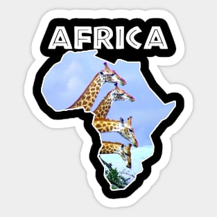 African Wildlife Continent 4 Giraffes Sticker